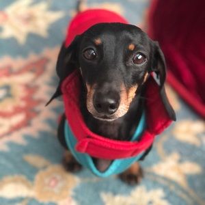 Meet your Posher, Julpha chamina